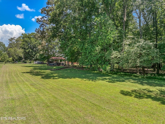 321 County Road 570, Englewood, TN 37329 - photo 41