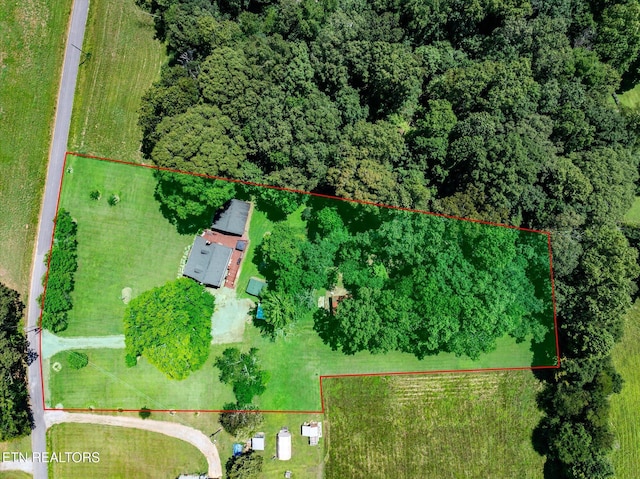 321 County Road 570, Englewood, TN 37329 - photo 43
