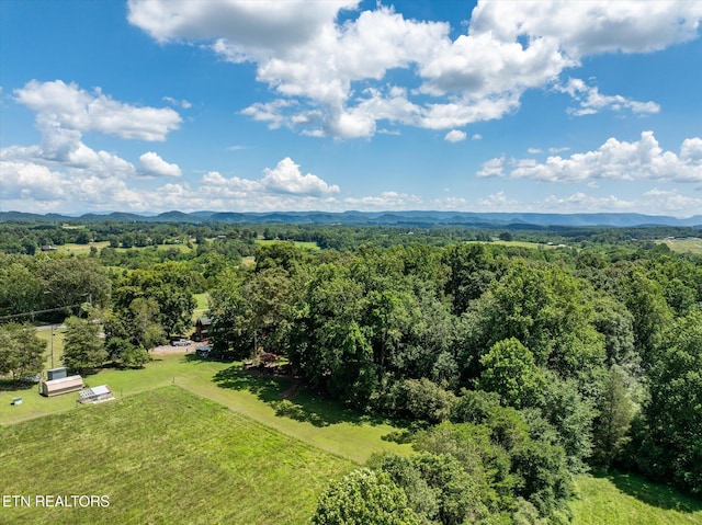 321 County Road 570, Englewood, TN 37329 - photo 49