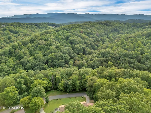 290 Whitaker Hollow Rd, Rocky Top, TN 37769 - photo 46