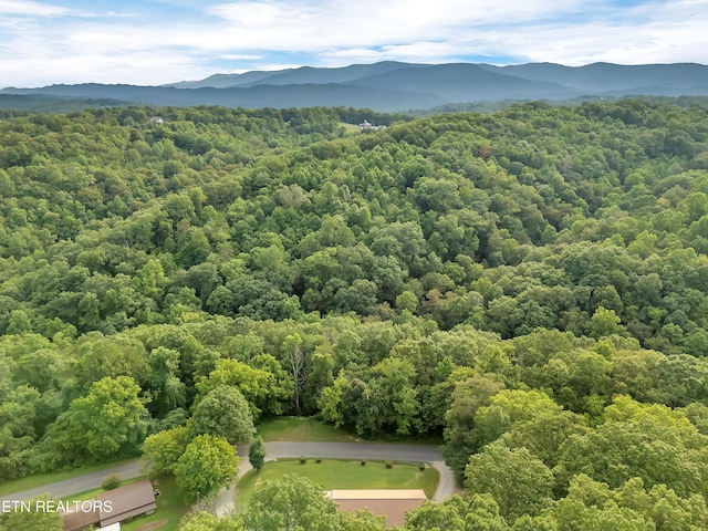 290 Whitaker Hollow Rd, Rocky Top, TN 37769 - photo 47