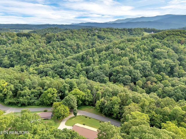 290 Whitaker Hollow Rd, Rocky Top, TN 37769 - photo 48