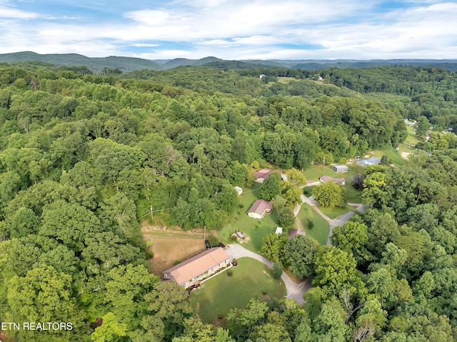 290 Whitaker Hollow Rd, Rocky Top, TN 37769 - photo 49