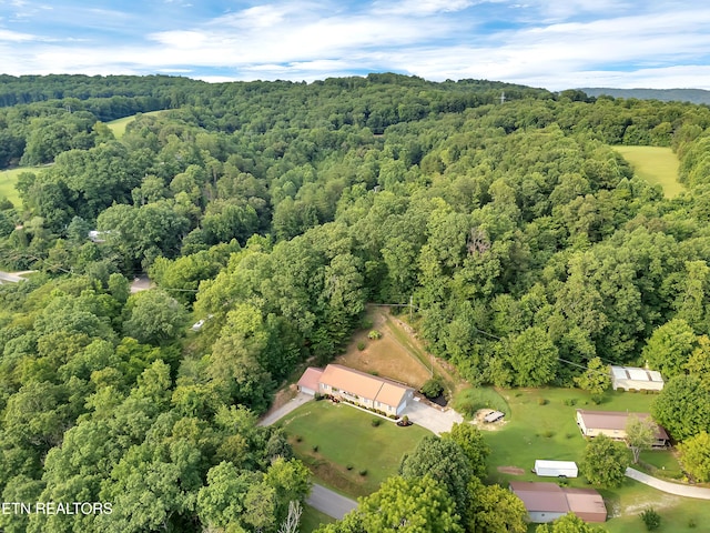 290 Whitaker Hollow Rd, Rocky Top, TN 37769 - photo 51