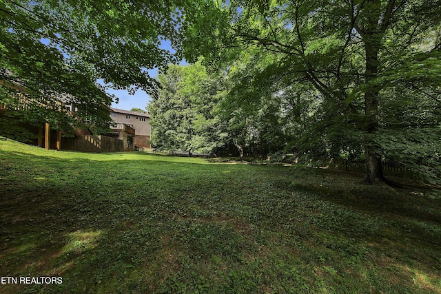8314 Alexander Cavet Dr, Knoxville, TN 37909 - photo 42