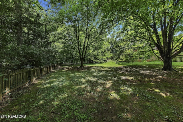 8314 Alexander Cavet Dr, Knoxville, TN 37909 - photo 44