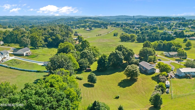 1467 Kay View Dr, Sevierville, TN 37876 - photo 46