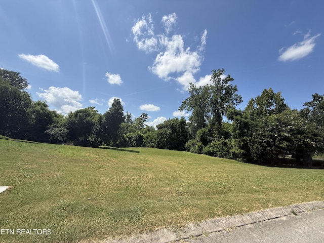 308 Ross Springs Dr, Maryville, TN 37803 - photo 4