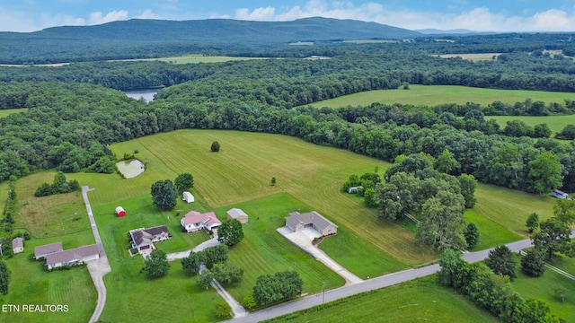 1432 Sawmill Rd, Crossville, TN 38555 - photo 42