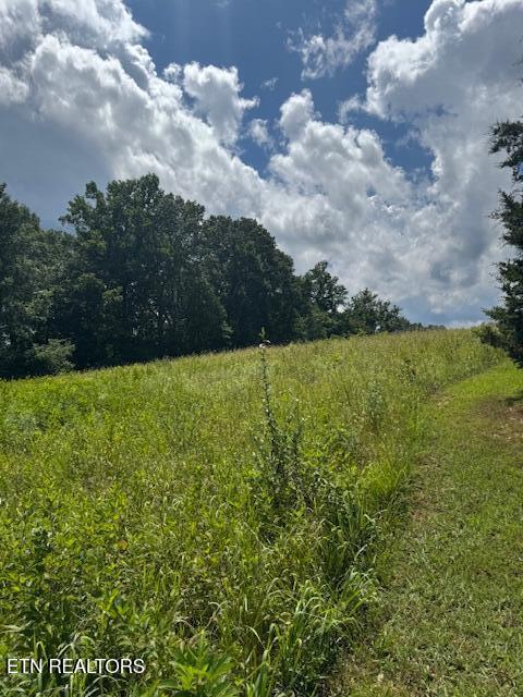 0 Oak Grove Rd, Rocky Top, TN 37769 - photo 2