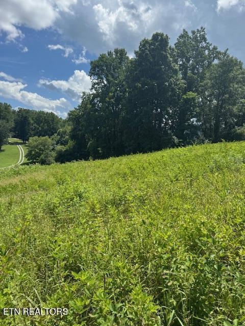 0 Oak Grove Rd, Rocky Top, TN 37769 - photo 1