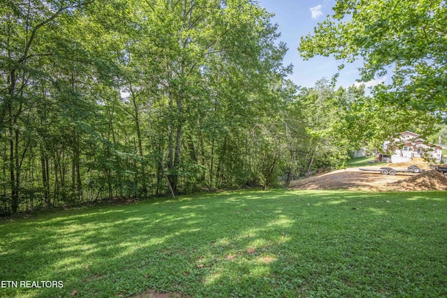 155 Berry Rd, Andersonville, TN 37705 - photo 33