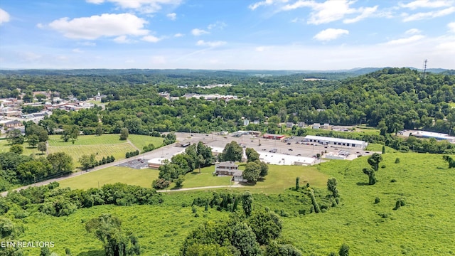 129/131 Elizabeth, Athens, TN 37303 - photo 59