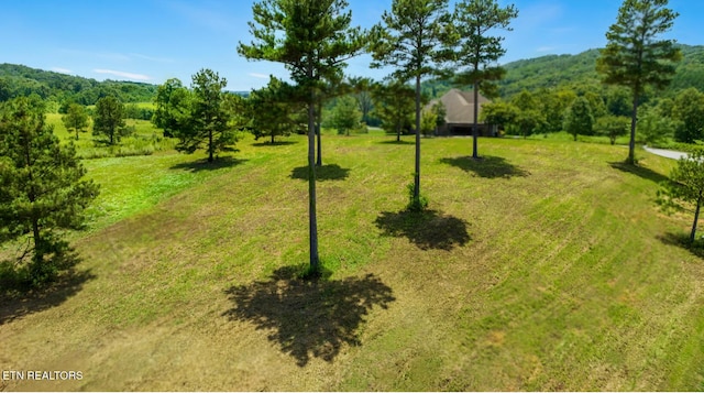 Blueberry Dr, Loudon, TN 37774 - photo 4
