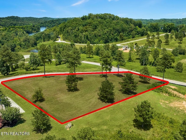 Blueberry Dr, Loudon, TN 37774 - photo 1