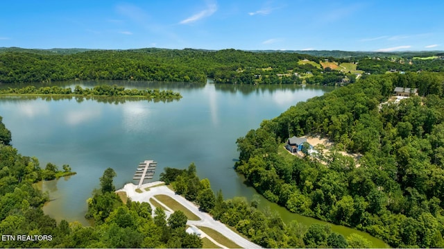 Blueberry Dr, Loudon, TN 37774 - photo 9