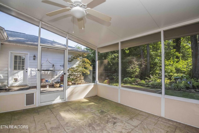 902 Ruffian Ln, Knoxville, TN 37923 - photo 37