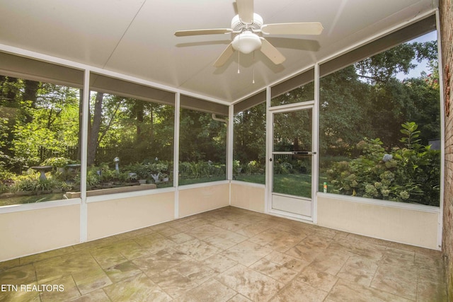 902 Ruffian Ln, Knoxville, TN 37923 - photo 36
