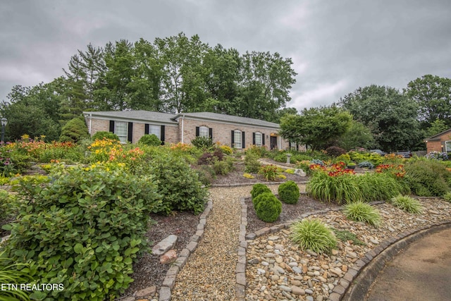 902 Ruffian Ln, Knoxville, TN 37923 - photo 3