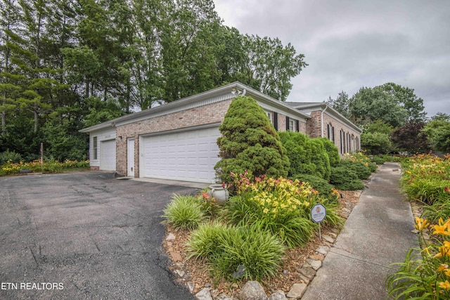 902 Ruffian Ln, Knoxville, TN 37923 - photo 4