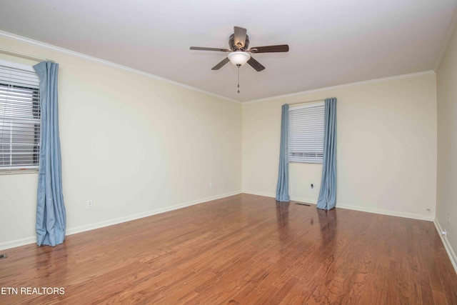 902 Ruffian Ln, Knoxville, TN 37923 - photo 24