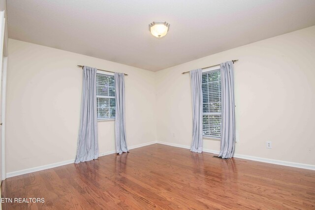 902 Ruffian Ln, Knoxville, TN 37923 - photo 33
