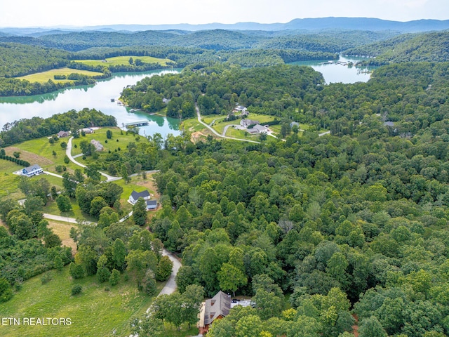 103 Pinnacle Pointe Way, Sharps Chapel, TN 37866 - photo 43