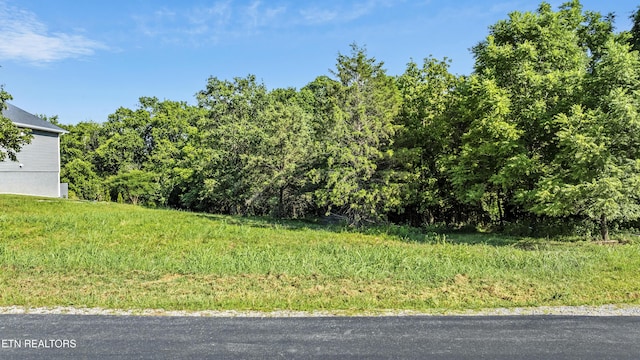 173 Itawa Trl, Vonore, TN 37885 - photo 3