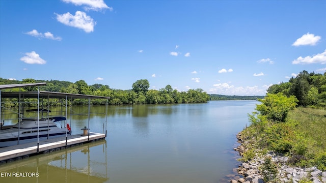 4617 Old Club Rd, Loudon, TN 37774 - photo 17