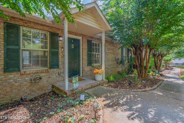 815 Calypso Way, Knoxville, TN 37923 - photo 27