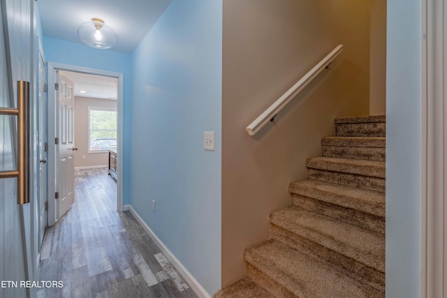 815 Calypso Way, Knoxville, TN 37923 - photo 14