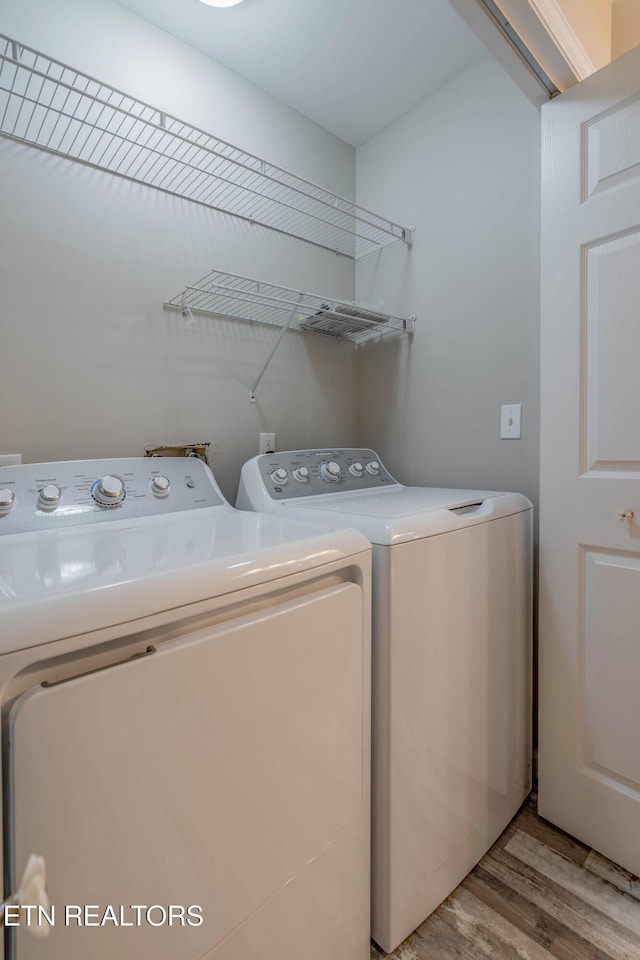 815 Calypso Way, Knoxville, TN 37923 - photo 18