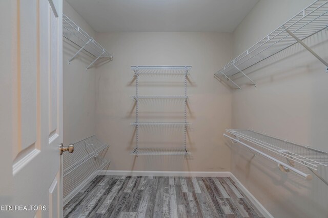 815 Calypso Way, Knoxville, TN 37923 - photo 21