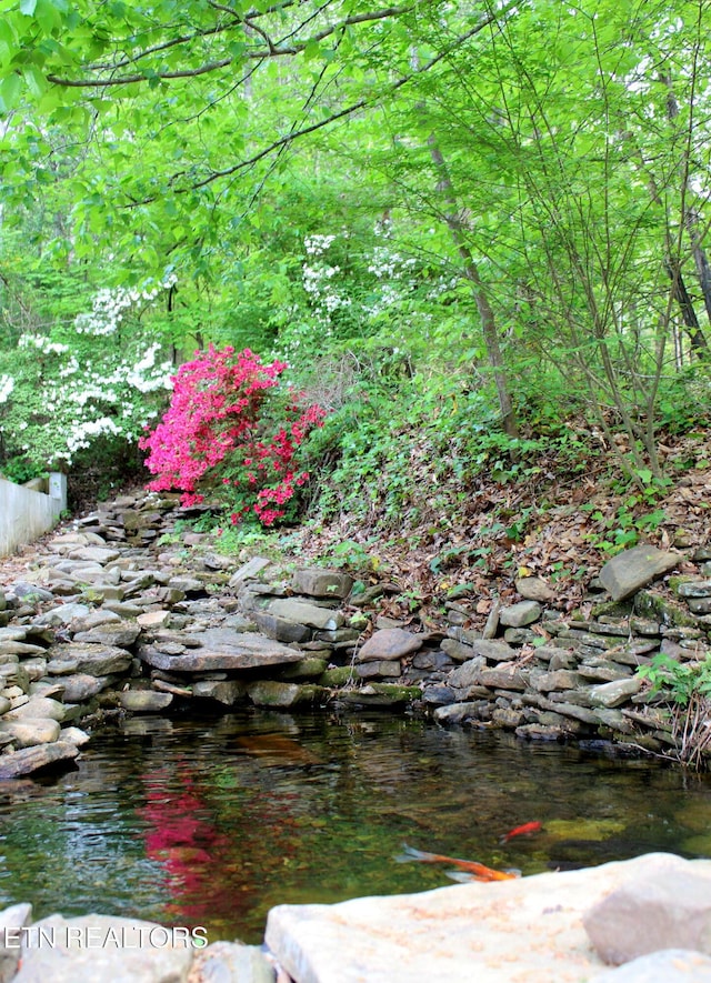 3008 Williams Rd, Knoxville, TN 37932 - photo 30