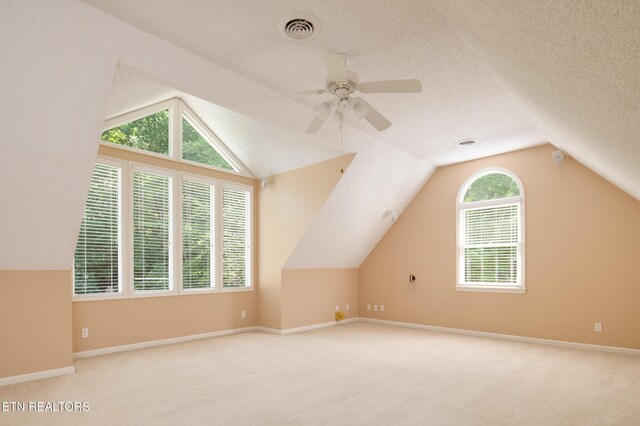 3008 Williams Rd, Knoxville, TN 37932 - photo 43