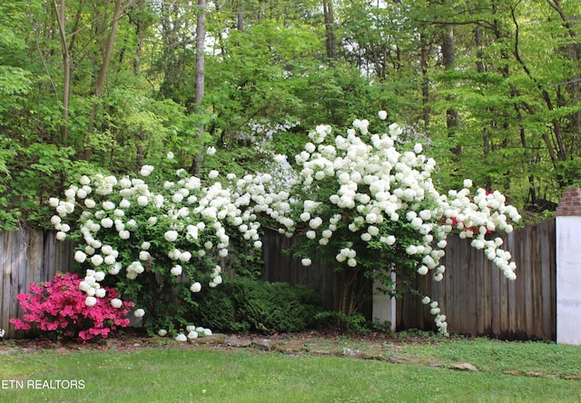 3008 Williams Rd, Knoxville, TN 37932 - photo 28