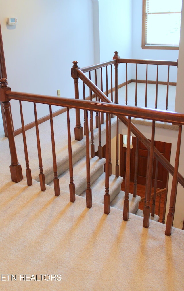 3008 Williams Rd, Knoxville, TN 37932 - photo 35