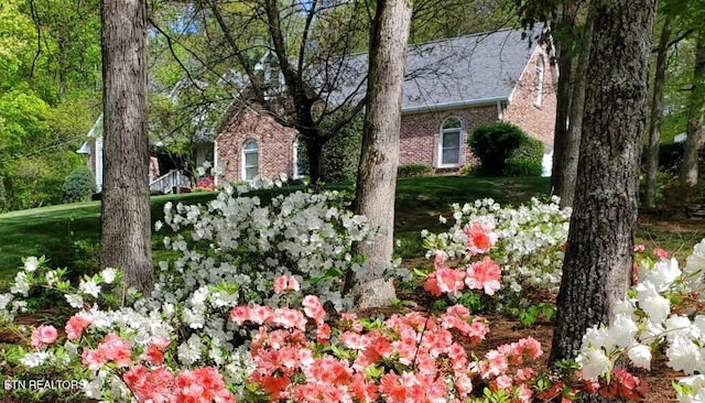 3008 Williams Rd, Knoxville, TN 37932 - photo 2