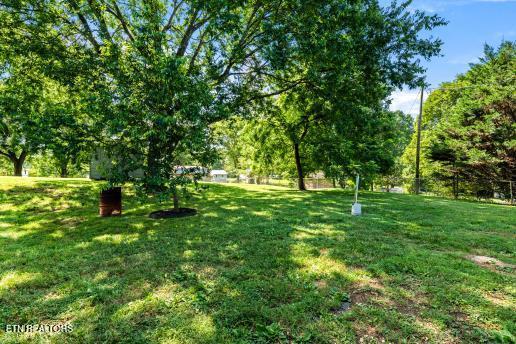 3025 Meadowview Dr, Kingston, TN 37763 - photo 25