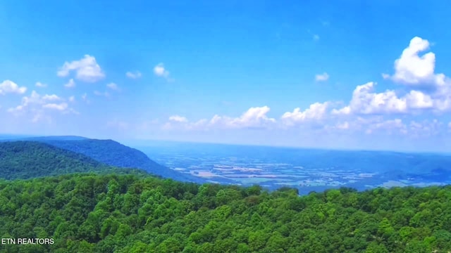 1499 Big Ridge Rd, Spring City, TN 37381 - photo 3