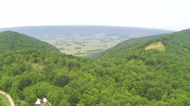 1499 Big Ridge Rd, Spring City, TN 37381 - photo 43