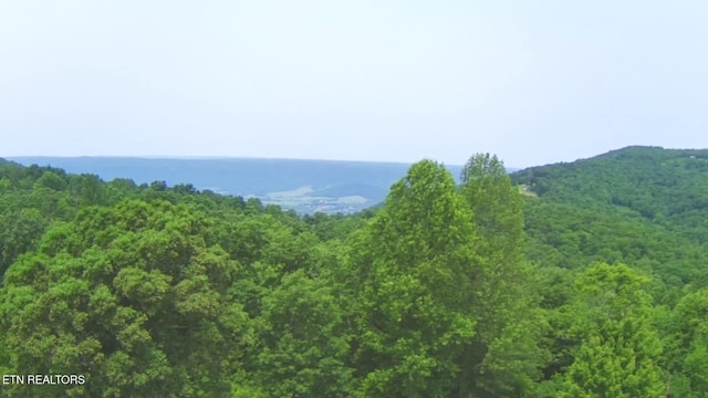1499 Big Ridge Rd, Spring City, TN 37381 - photo 44