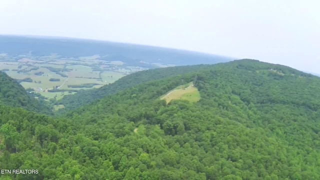 1499 Big Ridge Rd, Spring City, TN 37381 - photo 45