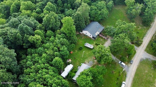 1499 Big Ridge Rd, Spring City, TN 37381 - photo 46