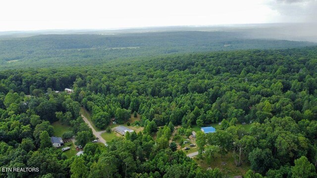 1499 Big Ridge Rd, Spring City, TN 37381 - photo 47