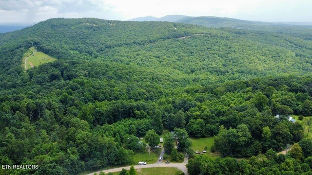 1499 Big Ridge Rd, Spring City, TN 37381 - photo 48