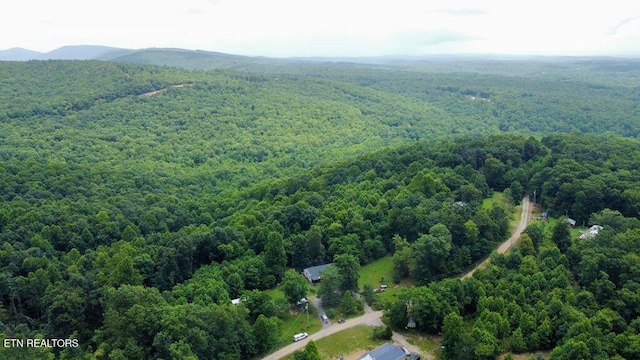 1499 Big Ridge Rd, Spring City, TN 37381 - photo 2