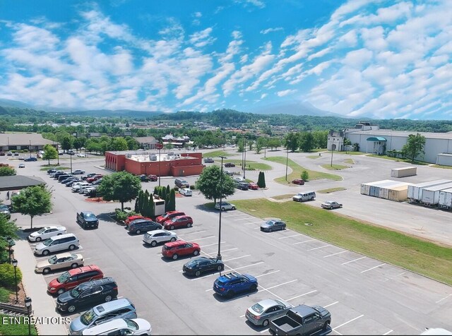 225 Collier Dr Unit 3503, Sevierville, TN 37862 - photo 14