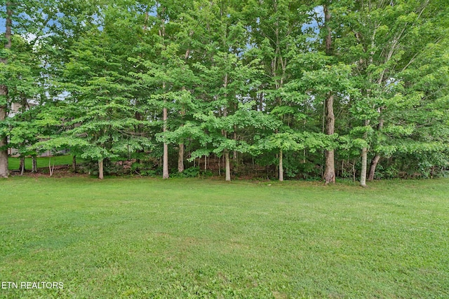 986 Summerwind Dr, Crossville, TN 38571 - photo 33