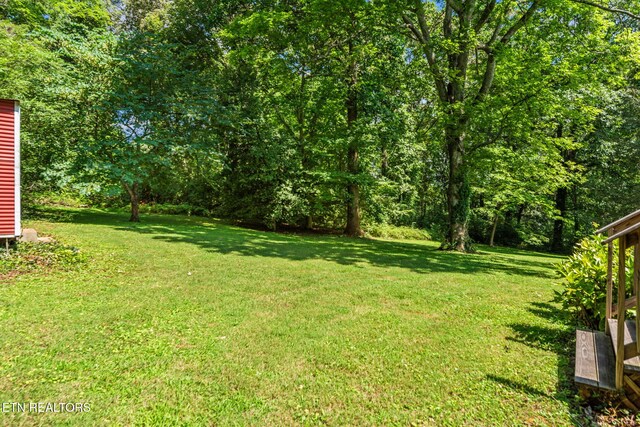 713 Skyline Dr, Clinton, TN 37716 - photo 50